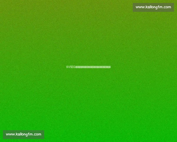 9VS55巅峰对决揭示数据差距与策略博弈的深层逻辑解析趋势